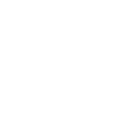 FG Propriedade Intelectual